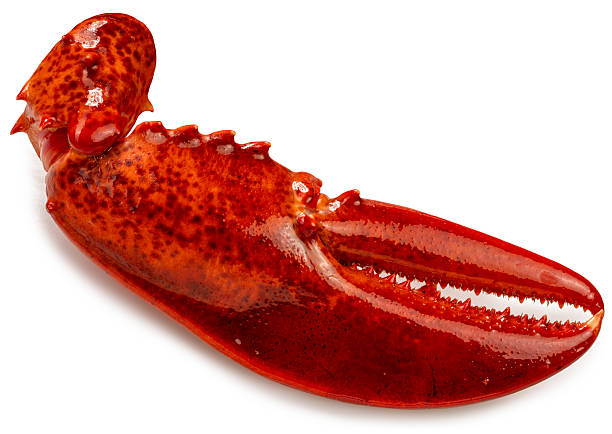 Surimi Boston Crab Claw IQF