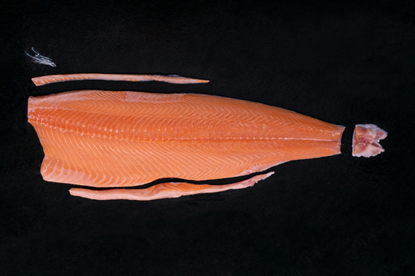 Salmon Fillet Trim D